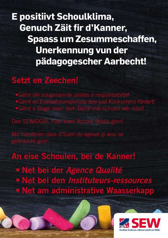 CSN_flyer_1.jpg