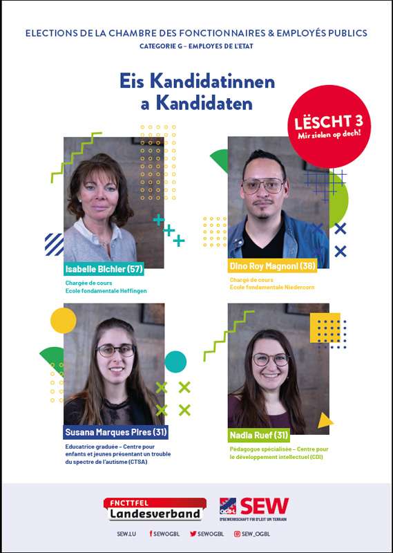 SEW_Wahlen_ChambreFon_caGt.jpg