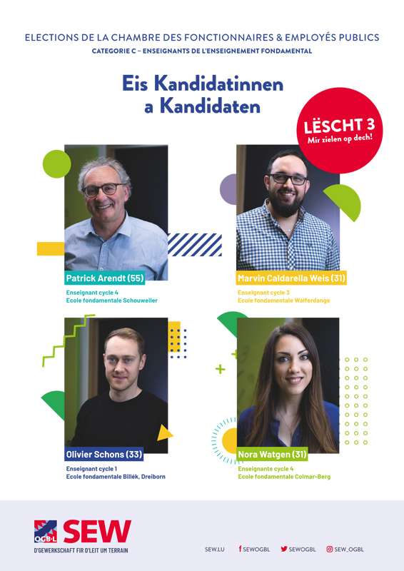 SEW_Wahlen_ChambreFonct_cat.jpg